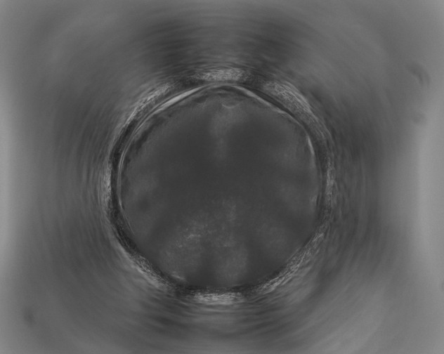 X0000112930202200909071040