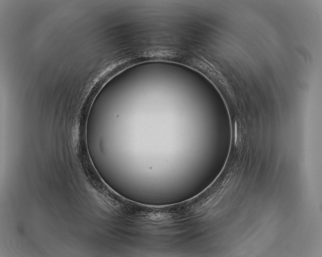 X0000112930204200909071040