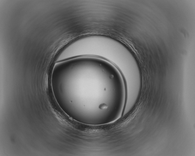 X0000112930205200909071040