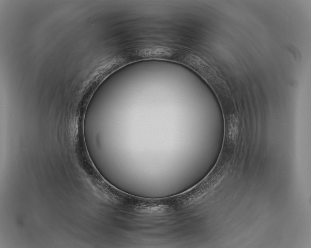 X0000112930206200909071040