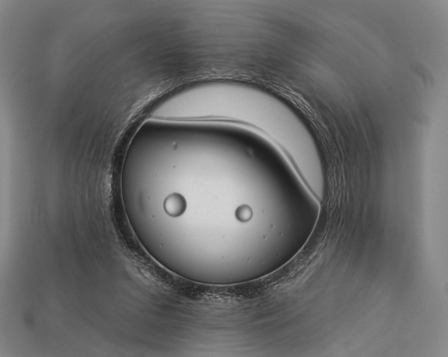 X0000112930207200909071040