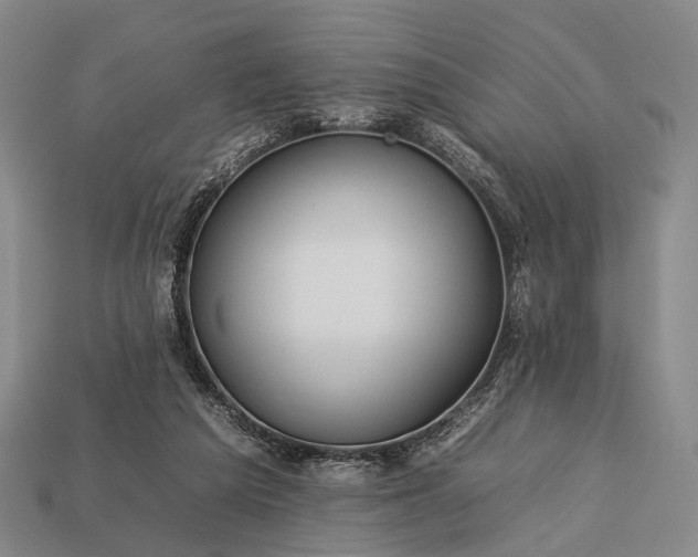 X0000112930209200909071040