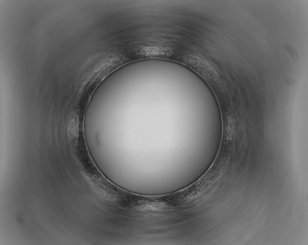 X0000112930210200909071040