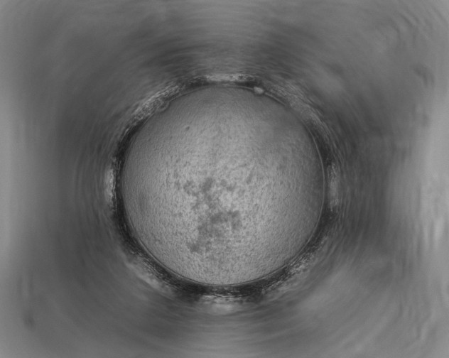 X0000112930211200909071040