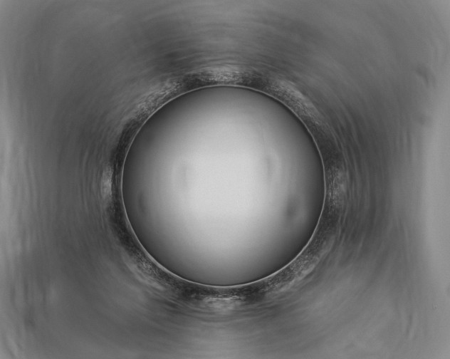 X0000112930213200909071040