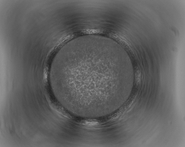 X0000112930214200909071040