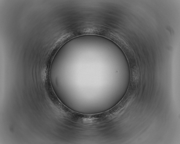 X0000112930216200909071040