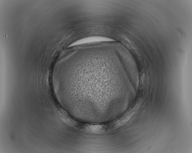 X0000112930217200909071040