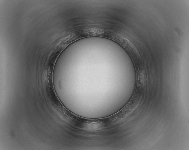 X0000112930218200909071040