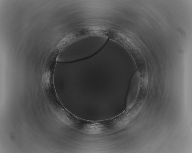 X0000112930219200909071040