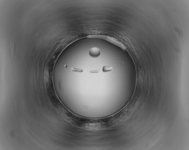 X0000112930220200909071040