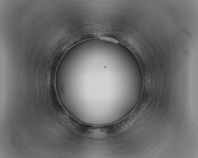 X0000112930221200909071040