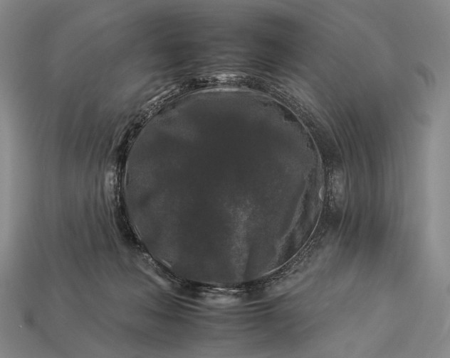 X0000112930222200909071040