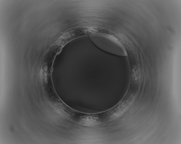 X0000112930223200909071040