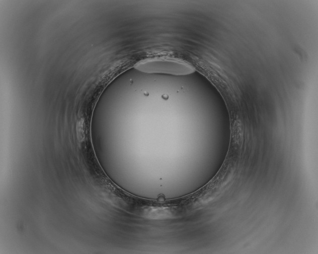 X0000112930224200909071040