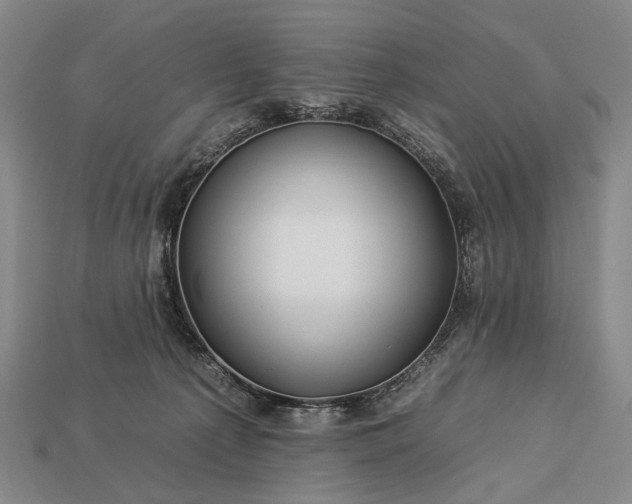 X0000112930225200909071040