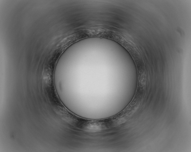 X0000112930226200909071040