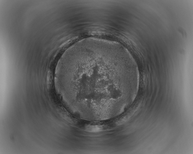 X0000112930228200909071040