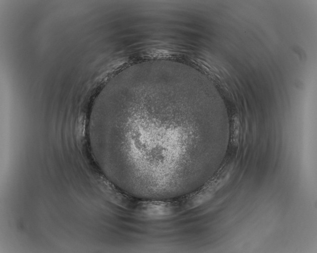 X0000112930230200909071040