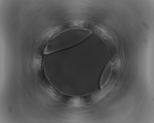 X0000112930231200909071040