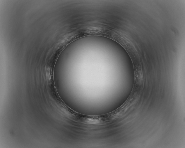 X0000112930232200909071040