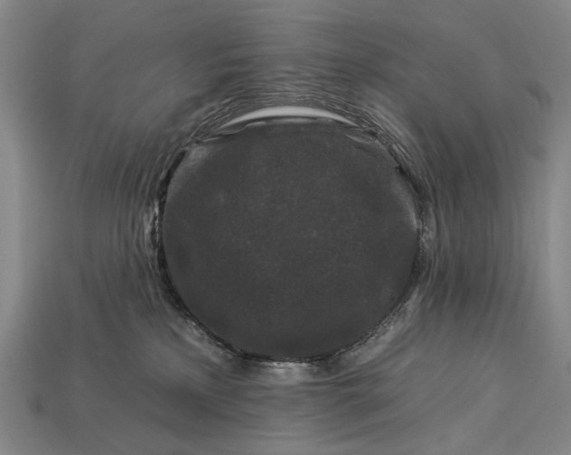 X0000112930233200909071040