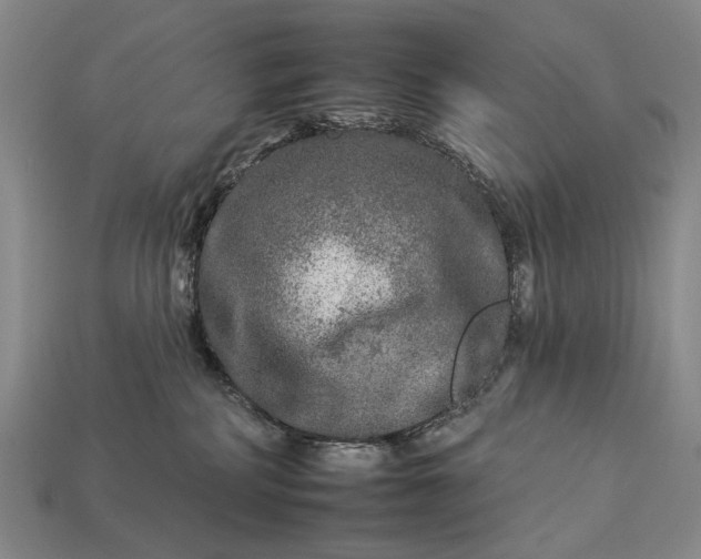 X0000112930234200909071040