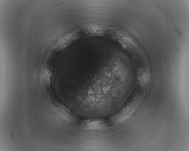 X0000112930235200909071040