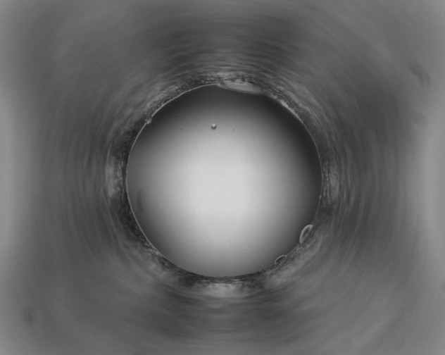 X0000112930236200909071040