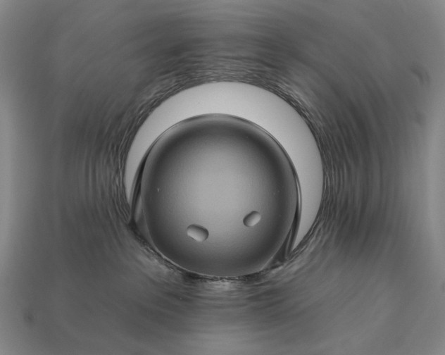 X0000112930237200909071040