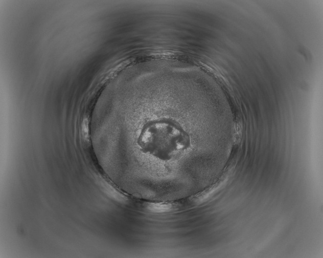 X0000112930238200909071040