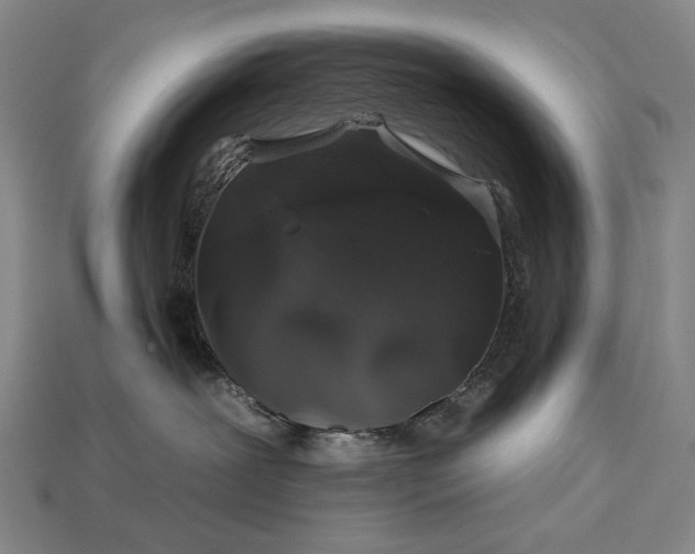 X0000112930239200909071040