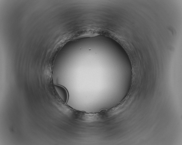 X0000112930240200909071040