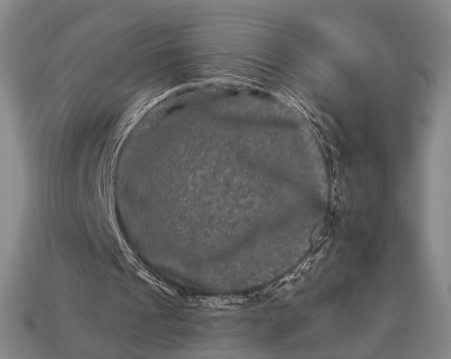 X0000112930241200909071039