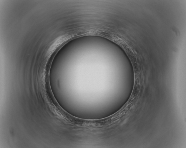 X0000112930242200909071039