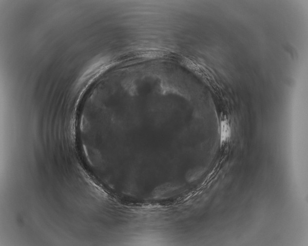 X0000112930243200909071039