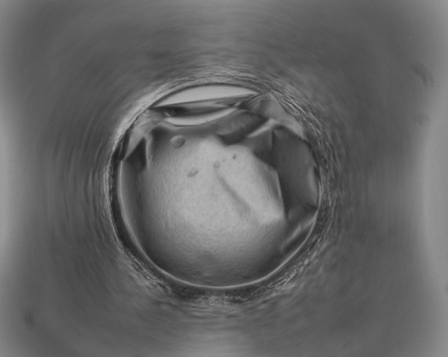 X0000112930244200909071039