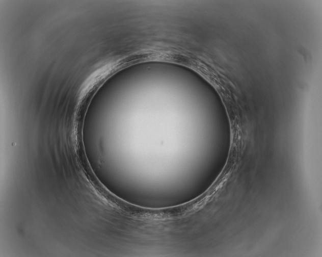 X0000112930245200909071039