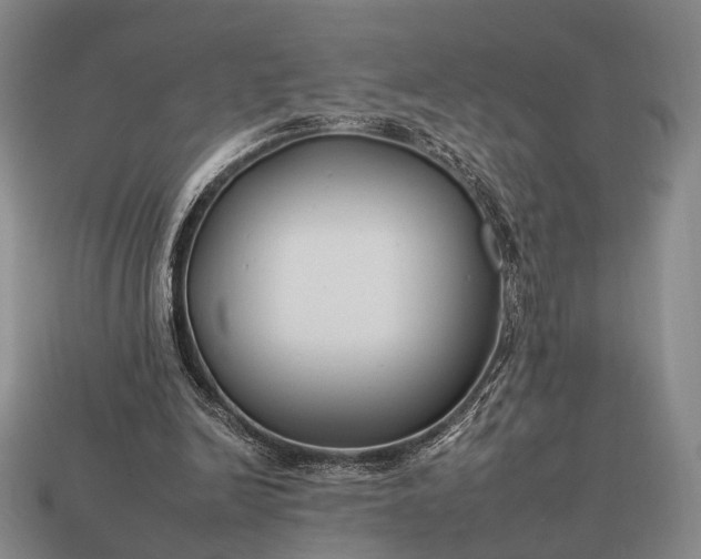 X0000112930246200909071039