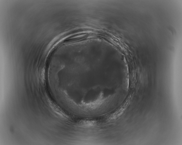 X0000112930247200909071039