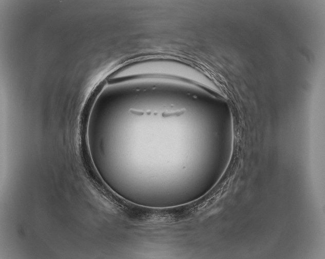 X0000112930248200909071039