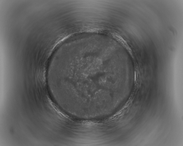 X0000112930249200909071039