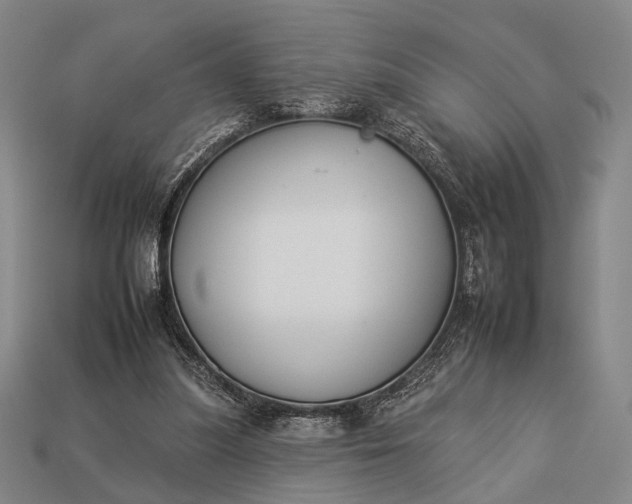 X0000112930251200909071039