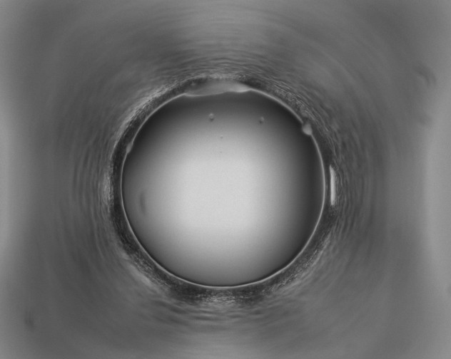 X0000112930252200909071039