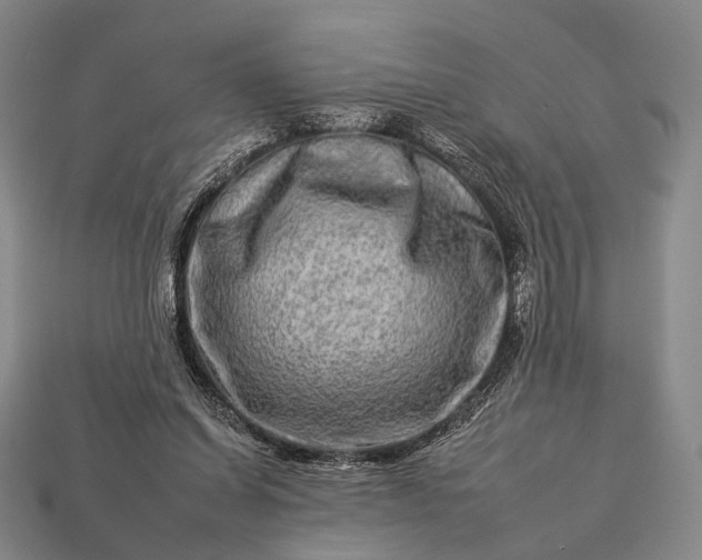 X0000112930254200909071039