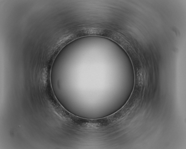 X0000112930255200909071039