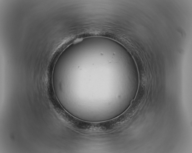 X0000112930256200909071039