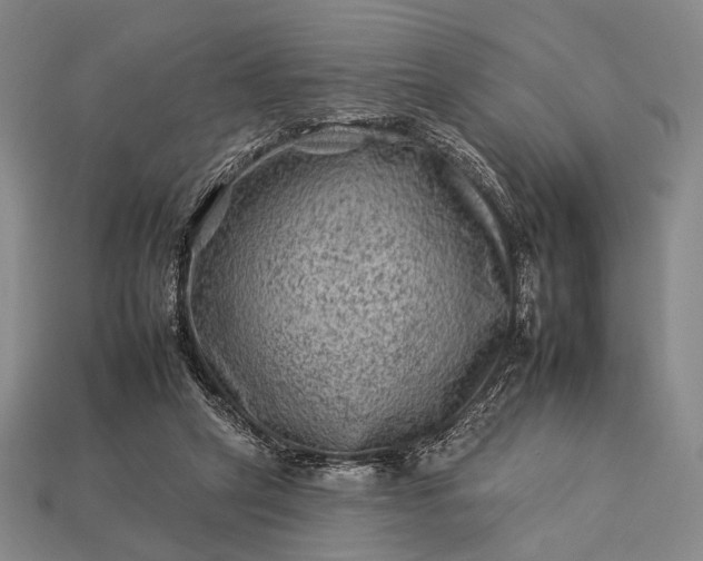 X0000112930257200909071039