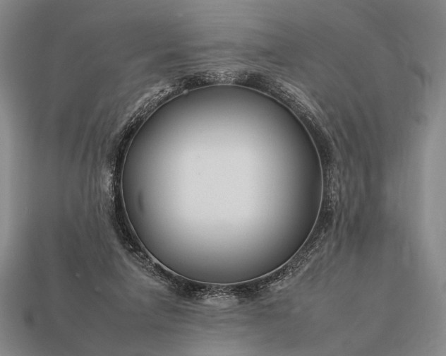 X0000112930258200909071039