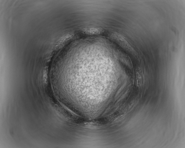 X0000112930259200909071039